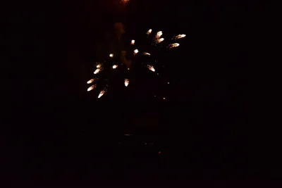 DSC_3422 (Large).JPG